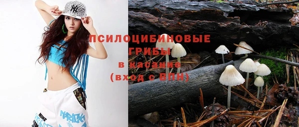 скорость Абаза